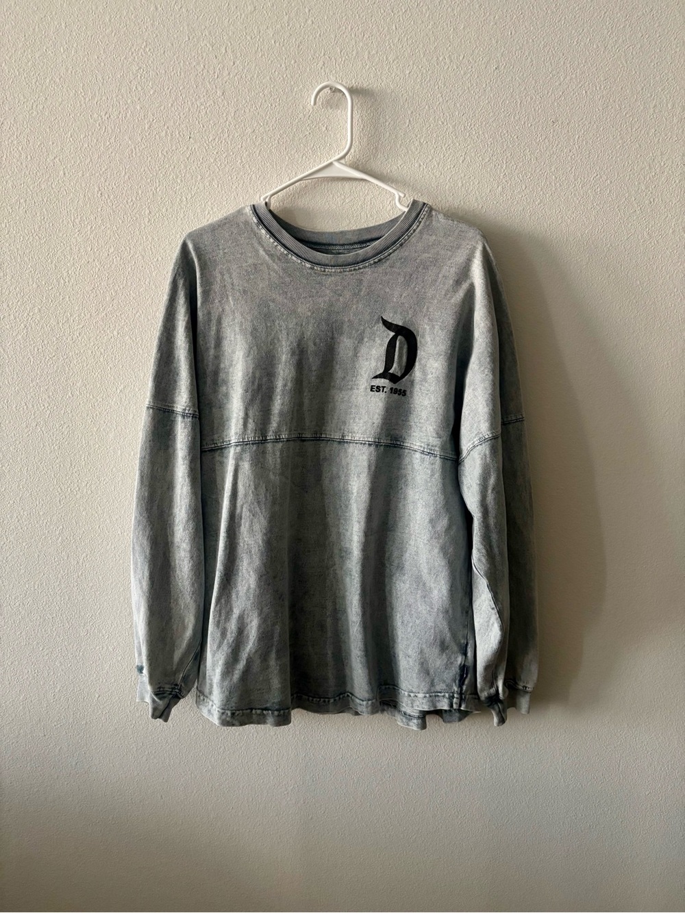 Disneyland Spirit Jersey
